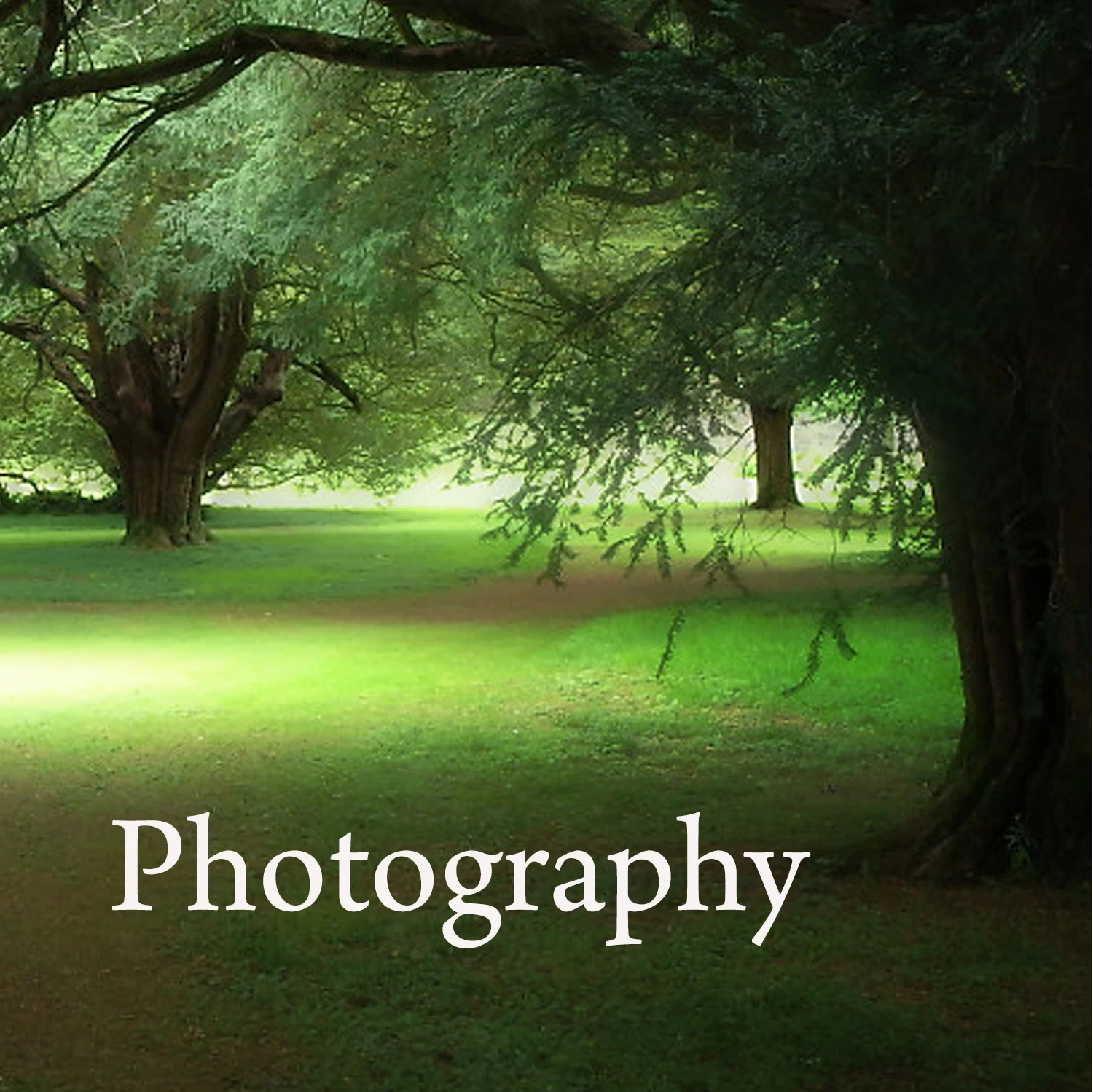 Photography